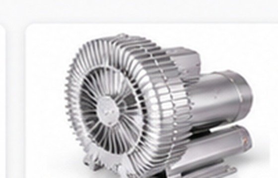 Ring Blowers